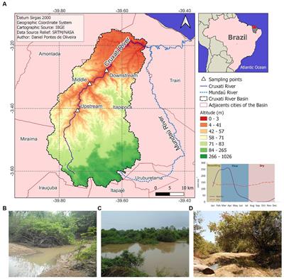 Effects of hydrological dynamics in controlling phosphorus bioavailability in intermittent rivers and implications for estuaries