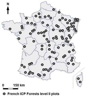 Carbon sequestration and nitrogen loss drive the evolution of French forest soils