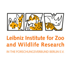 Logo of Leibniz Institute for Zoo and Wildlife Research